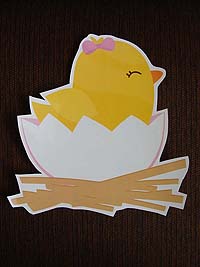 Yellow duck hatchling